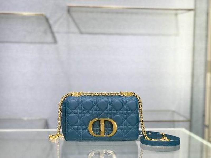 DIOR Handbags 45